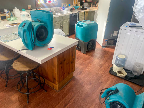Best Water damage restoration experts  in Lewisville, TX