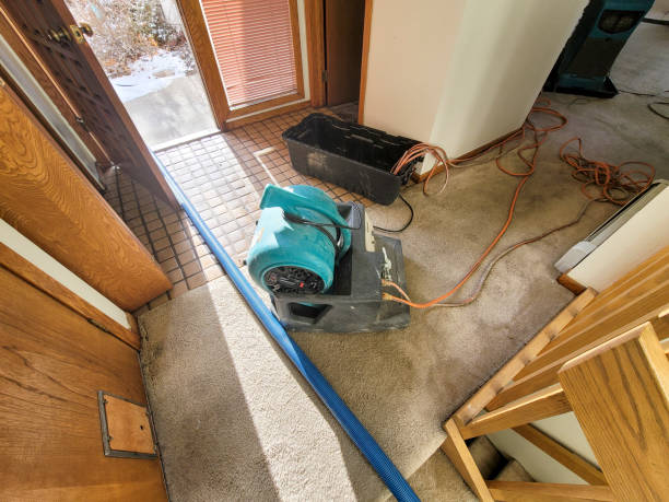 Best Water damage restoration near me  in Lewisville, TX