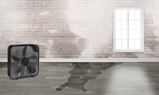 Best Water damage restoration near me  in Lewisville, TX