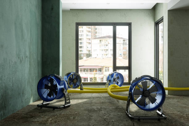 Best Water damage restoration services  in Lewisville, TX