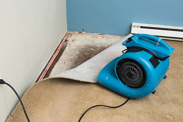 Best Carpet water damage restoration  in Lewisville, TX